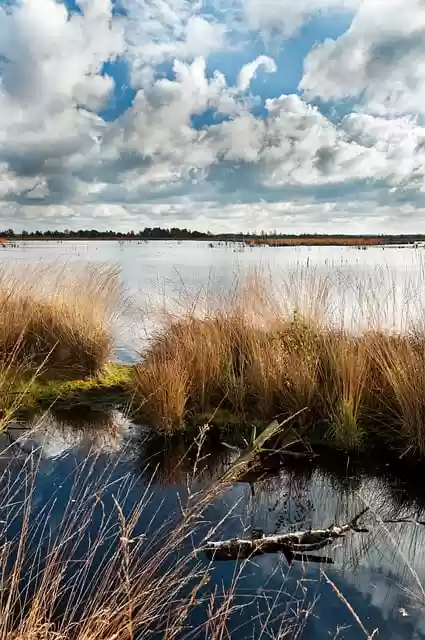 Free download moor lower saxony water fall free picture to be edited with GIMP free online image editor