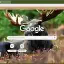 Moose  screen for extension Chrome web store in OffiDocs Chromium