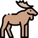 Moose in the Misty Meadow  screen for extension Chrome web store in OffiDocs Chromium