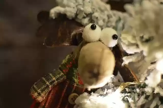 Free download Moose Snowman Winter -  free free photo or picture to be edited with GIMP online image editor