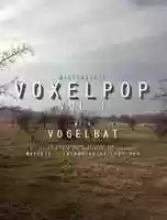 Free download MOOTCAST 011 /// VOXELPOP Vol. 1 With Vogelbat free photo or picture to be edited with GIMP online image editor