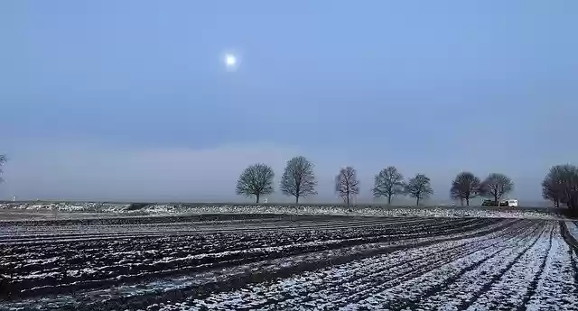Free download Morning Fog Landscape -  free free photo or picture to be edited with GIMP online image editor