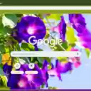Morning Glory  screen for extension Chrome web store in OffiDocs Chromium