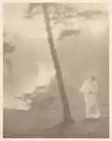 Free download Morning free photo or picture to be edited with GIMP online image editor