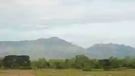 Free download Morning Nature In The -  free video to be edited with OpenShot online video editor