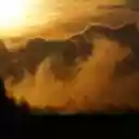 morning sunlight and dew  screen for extension Chrome web store in OffiDocs Chromium