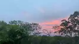 Free download Morning Sunrise Nature -  free video to be edited with OpenShot online video editor