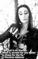 Gratis download Morticia Adams normaliteit gratis foto of afbeelding om te bewerken met GIMP online beeldbewerker