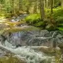 Mossy rock spring  screen for extension Chrome web store in OffiDocs Chromium