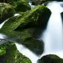 Mossy rocky mountains  screen for extension Chrome web store in OffiDocs Chromium