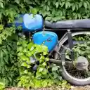 Motorcycle in the bushes  screen for extension Chrome web store in OffiDocs Chromium