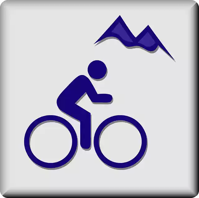 Free download Mountain Biking Bike Trail - Free vector graphic on Pixabay free illustration to be edited with GIMP free online image editor