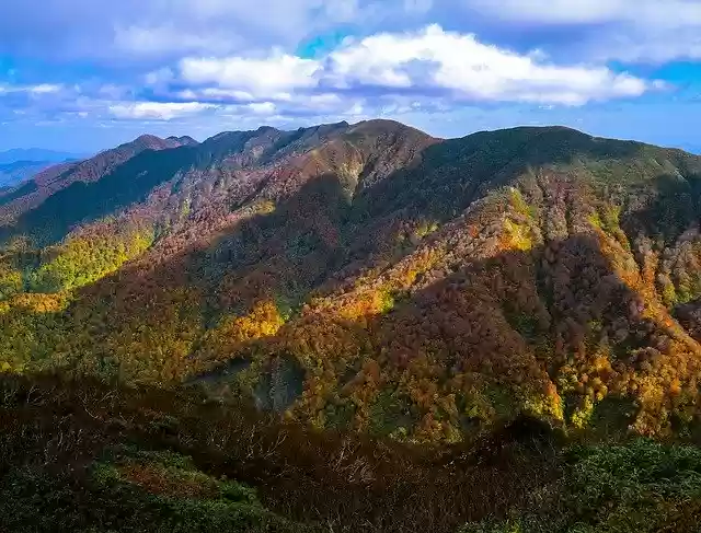 Free download Mountain Landscape Autumnal Leaves -  free photo or picture to be edited with GIMP online image editor