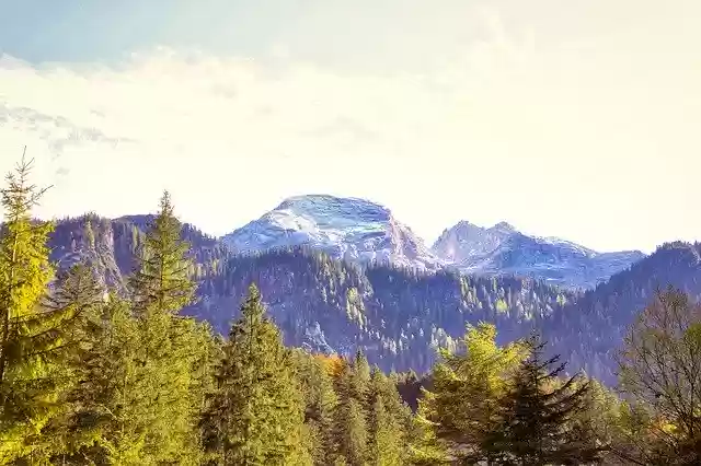 Free download Mountain Nature Forest -  free photo or picture to be edited with GIMP online image editor