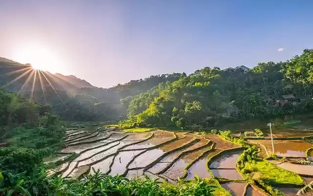 Free download mountain rice terraces rice fields free picture to be edited with GIMP free online image editor