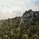 Mountains and hills and birds on the wing  screen for extension Chrome web store in OffiDocs Chromium