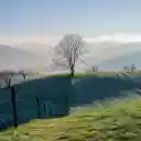 Mountains and Morning Mist  screen for extension Chrome web store in OffiDocs Chromium