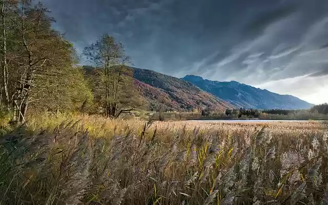 Kostenloser Download Berge Feld Seeufer Schilf kostenloses Bild zur Bearbeitung mit GIMP kostenloser Online-Bildbearbeitung