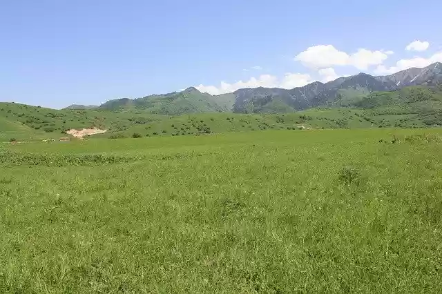 Free download Mountains Grass Landscape -  free photo or picture to be edited with GIMP online image editor