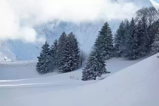 Free download mountain snow fir winters free picture to be edited with GIMP free online image editor