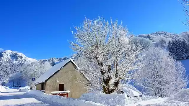 Free download mountain snow trees station free picture to be edited with GIMP free online image editor