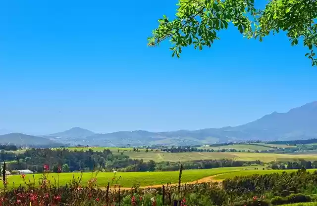 Free download mountain vineyard plants vines free picture to be edited with GIMP free online image editor