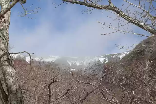 Free download mountain winter nature trees free picture to be edited with GIMP free online image editor