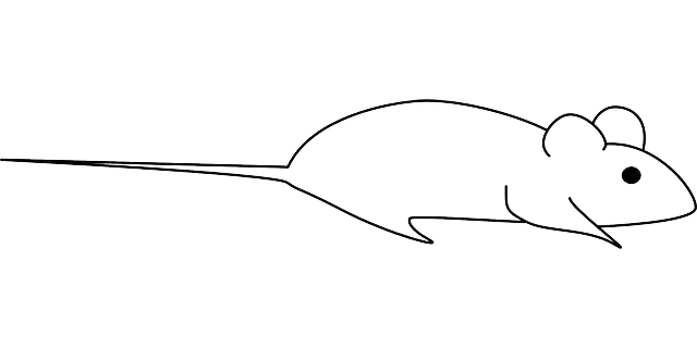 Free download Mouse Rodent Small - Free vector graphic on Pixabay free illustration to be edited with GIMP free online image editor