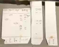 Free download MS 002 214 1b Wu free photo or picture to be edited with GIMP online image editor