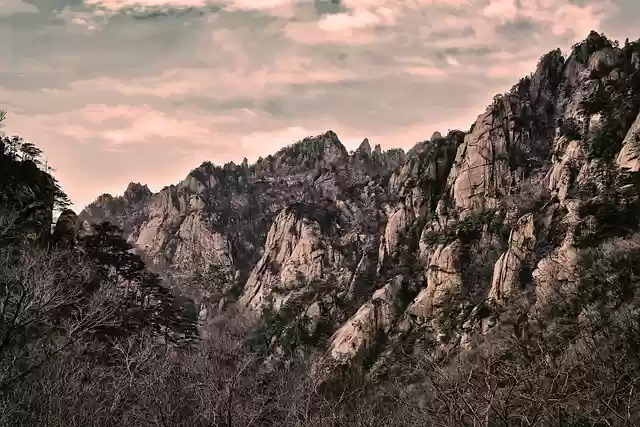 Free download mt seolark the limit command free picture to be edited with GIMP free online image editor