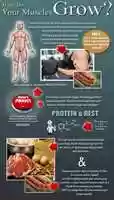 Free download Muscle And Growth free photo or picture to be edited with GIMP online image editor