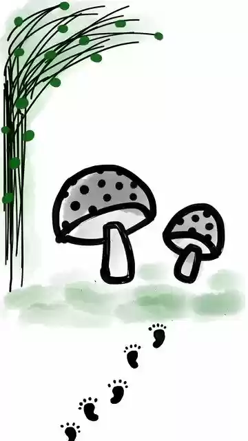 Free download Mushroom Footprint Plant -  free illustration to be edited with GIMP free online image editor