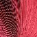 Mushroom Gills Wallpaper Theme  screen for extension Chrome web store in OffiDocs Chromium