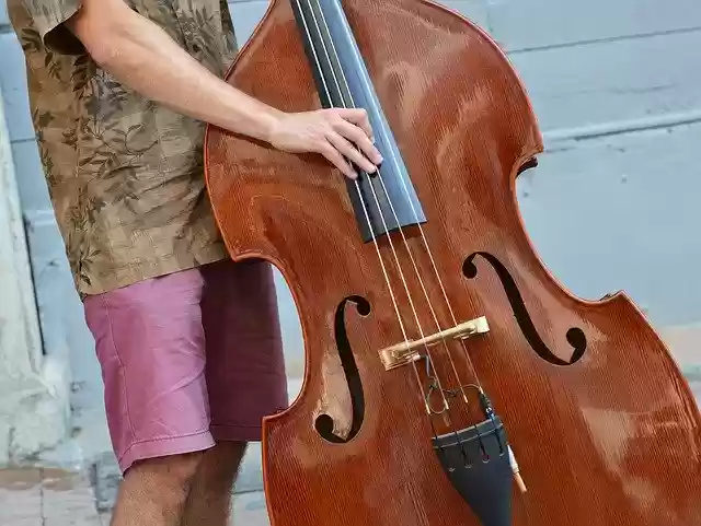 Muat turun percuma Musician Double Bass Instrument - foto atau gambar percuma untuk diedit dengan editor imej dalam talian GIMP