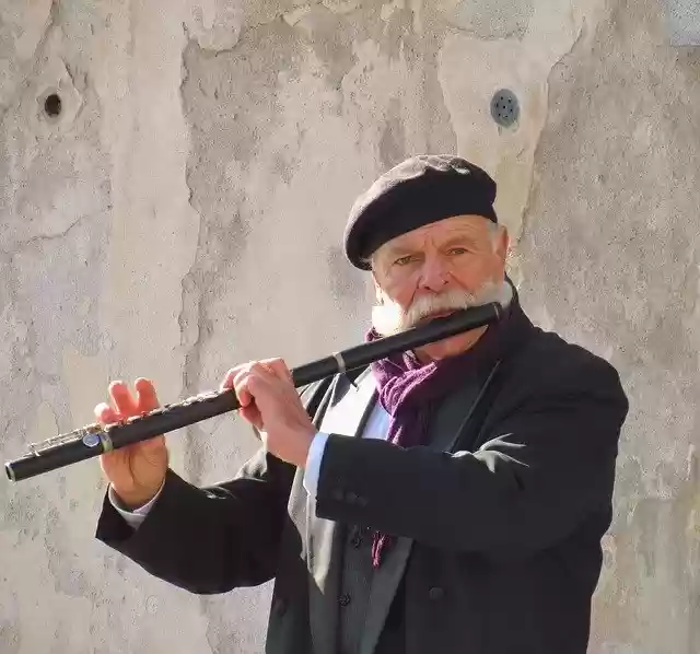 Free download Musician Prague Music -  free photo or picture to be edited with GIMP online image editor