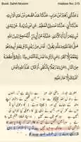 Free download muslim-ko-kafir-kehny-wala-kafir free photo or picture to be edited with GIMP online image editor