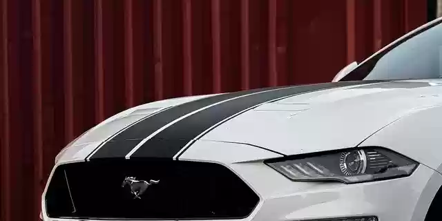 Free download mustang ford mustang sports car v8 free picture to be edited with GIMP free online image editor