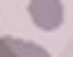 Free download Mustela Guess That Egg free photo or picture to be edited with GIMP online image editor