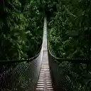 Mystery Bridge  screen for extension Chrome web store in OffiDocs Chromium