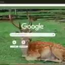 Nai  screen for extension Chrome web store in OffiDocs Chromium