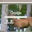 Nai rung chau A  screen for extension Chrome web store in OffiDocs Chromium