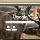 Nai Sambar  screen for extension Chrome web store in OffiDocs Chromium