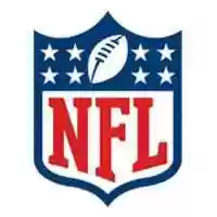 Free download National Football League logo - JPG file free photo or picture to be edited with GIMP online image editor
