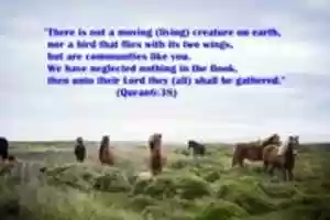 Free download Nations Like Us free photo or picture to be edited with GIMP online image editor