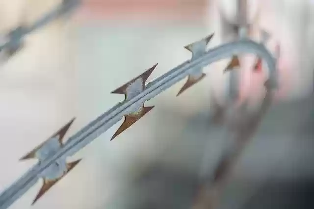 Free download Natodraht Barbed Wire Fence -  free photo or picture to be edited with GIMP online image editor