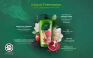 Free download Natural Formulation 2 free photo or picture to be edited with GIMP online image editor