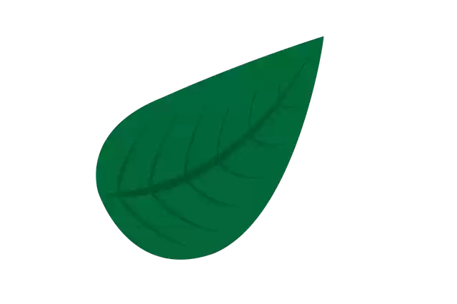 Descarga gratuita Natural Green Leave: ilustración gratuita para editar con el editor de imágenes en línea gratuito GIMP