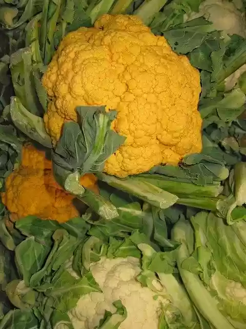 Free download Natural Healthy Vegetable -  free free photo or picture to be edited with GIMP online image editor