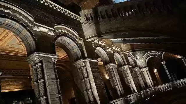 Bezpłatne pobieranie Natural History Museum Hall London - bezpłatne zdjęcie lub obraz do edycji za pomocą internetowego edytora obrazów GIMP