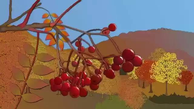 Free download Natural Landscape Plant -  free photo or picture to be edited with GIMP online image editor